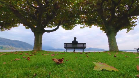 A Man Sitting On A Bench Enjoying The View