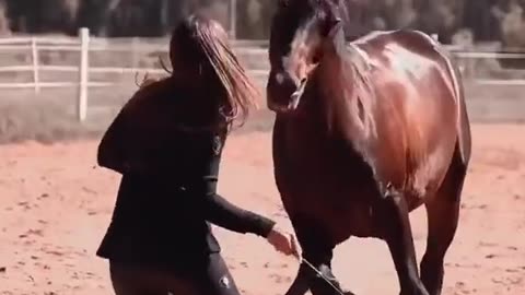 Beautiful Girl Playing with Horse