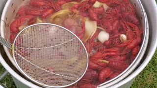 Crawfish Boil in Sims, AR