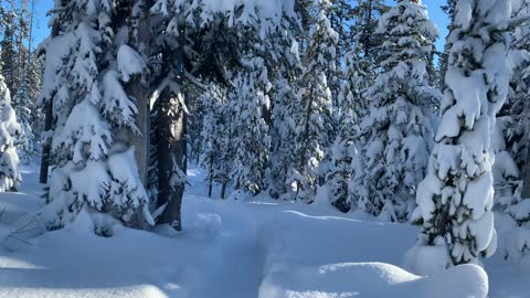 White Bright Snow – Central Oregon – Swampy Lakes Sno-Park – 4K