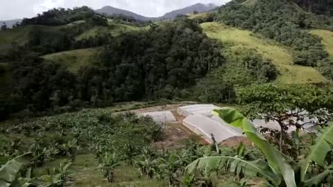 Ganadería sostenible, la apuesta de exguerrilleros de las Farc en San Vicente del Caguán