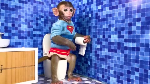 Monkey Baby Bon Bon uses toilet paper and naughty in the Pool with puppy and duckling