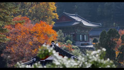 Korean temple