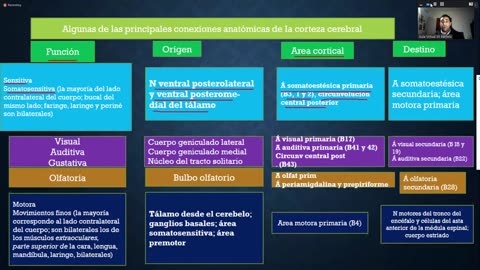 Clase 9 - Telencefalo - 28_07_2021