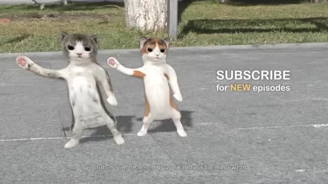 Dancing cats نچندڙ ٻليون