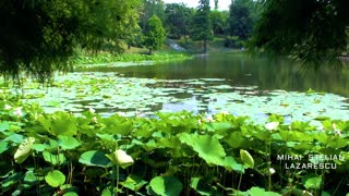 Circus Park (Parcul Circului), Bucharest (Bucuresti), Romania 2008