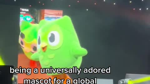 being a universally adored mascot for a global education brand
