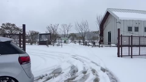 MAXIMAL Camping in Heavy Snow l l'm the only one in Frozen l Relax in cosy tent with first place