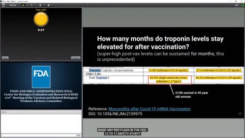 Age 5-11 FDA Review Board on EUA Pfizer Vaccines: Steve Kirsch Presents on 10/26/21