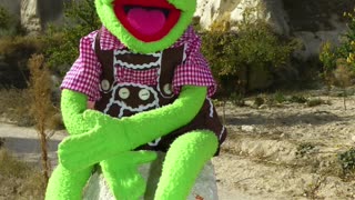 Kermit - Der gute Grüne!