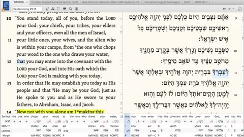 Rooted In Torah S01E21 (Nitzavim)