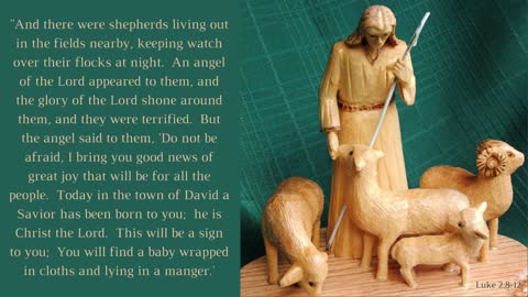 The Swift Actions of the Shepherds (Nativity Basics)