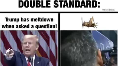 The Lamestream Media’s Double Standard