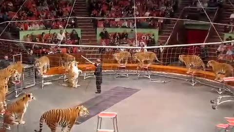 RUSSIAN CIRCUS