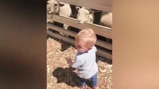 Cute kid & animal mini compilation!!!