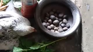 +2349058180048 THE MOST POWERFUL NATIVE DOCTOR IN OGUN STATE IJEBU IGBO NIGERIA