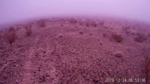 Thick Fog in the Mojave high desert at Barstow