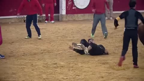 Dangerous Bull Fight Accidents Lucky and Funny People Fail Video Clips