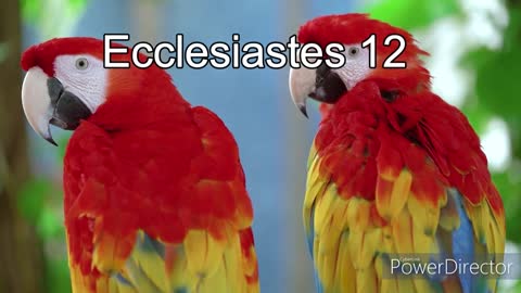 The Holy Bible - Ecclesiastes 12 NIV Audio