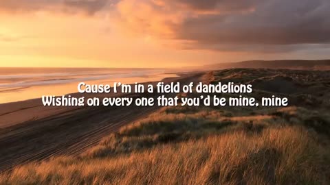 Dandelions ❤️