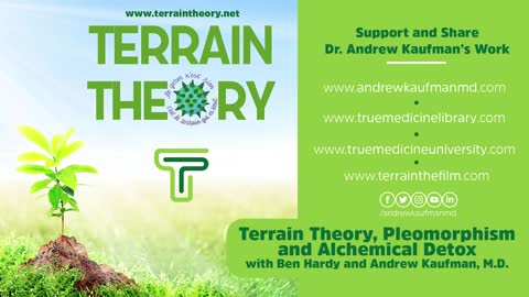 Terrain Theory, Pleomorphism and Alchemical Detox with Ben Hardy and Andrew Kaufman, M.D.