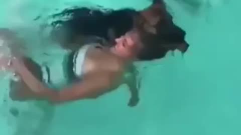 Dog came to the rescue