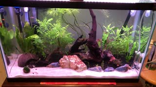 29 Gallon Aqueon Aquarium