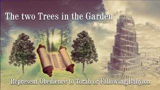 Torah Is The WORD (Yeshua) - Messianic Rabbi Zev Porat Preaches