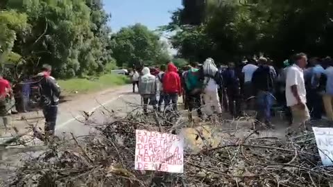Protesta de campesinos y cafeteros de la Sierra Nevada de Santa Marta por falta de vías de acceso