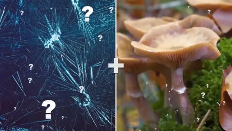 Mind Blowing Anomalies of Nature
