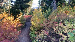 Oregon – Mount Hood – Timberline Loop – Day-Hike of SW Section – FULL – PART 5/7