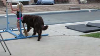 Puppy Assisted Pull-Up