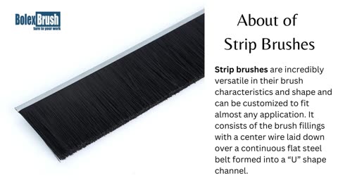 Strip Brushes