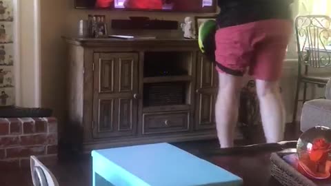 Disc Golfing Dad Takes Out TV