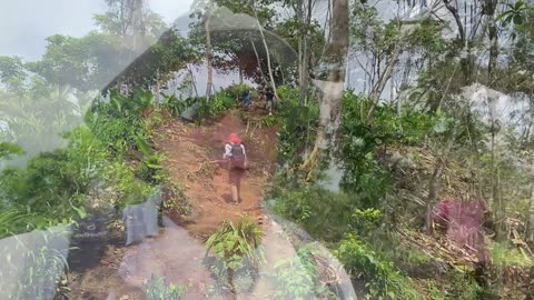 Cell Phone Hill, Panama - Migrants and Villagers In Bajo Chaquito Must Climb Hill to Call Loved Ones