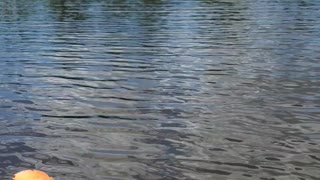 Bayou Kayaking