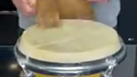 puppy dog play with drum