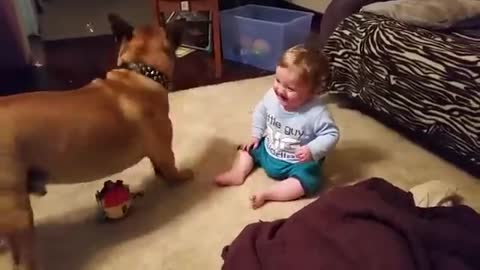 Baby laughing at dog & bubbles