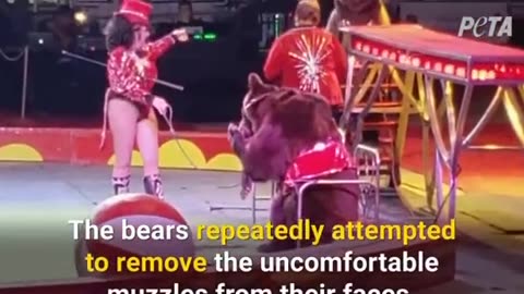 SHRINE CIRCUSES EXPLOITATION OF ANIMALS NEEDS TO END