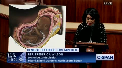 Rep. Frederica Wilson (D-FL):