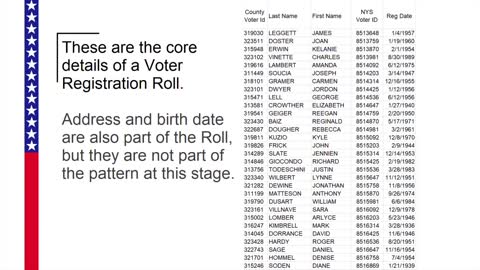 The Voter Matrix Discovered in New York