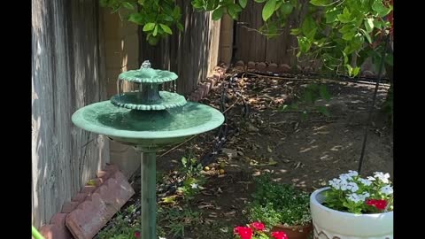 Lovely Sounds from Water Fountain