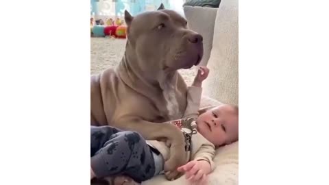 Cute baby with a dog 😂❤️ - Funny Pets World