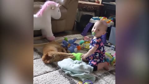 Adorable Encounters: Babies Delight in Playful Moments with Dogs and Cats!