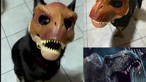 Dog with Dinosaur Mask