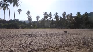 Chacala Beach in the Year of the Pandemic, Nayarit, Mexico