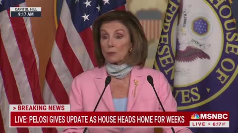 Nancy Pelosi: Republicans Want to Suppress the Vote, Nullify Elections