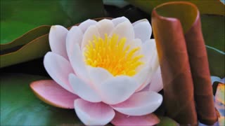 How To Create A New Earth - Musical Version - (Part 2 of 7) - The Path of the Lotus