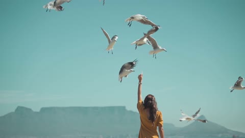 A woman feeding flying seagulls, a very rare moment with the sea birds