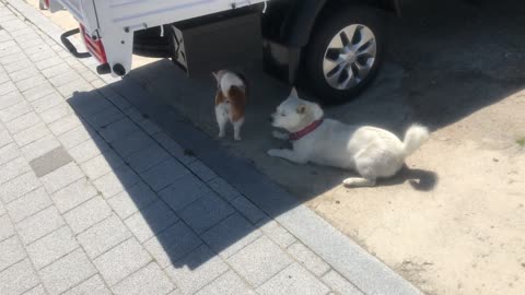 They had a meeting under the truck.